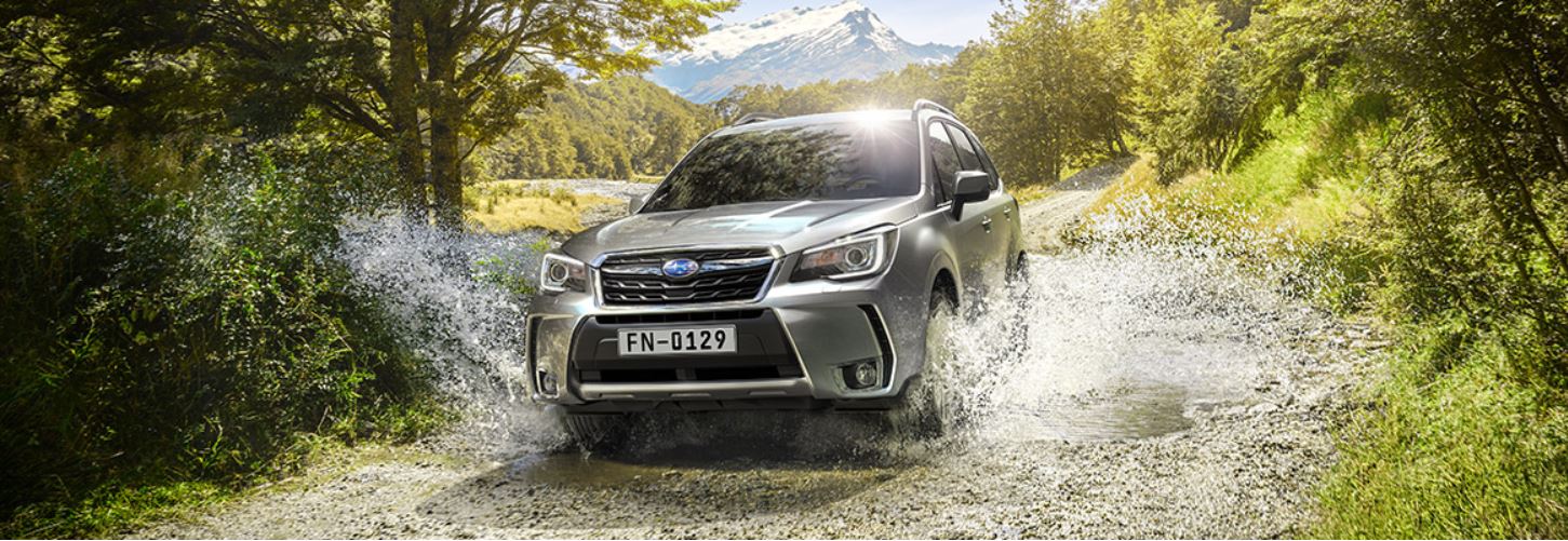 Subaru Forester forest